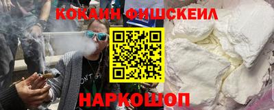 крисы Шебекино