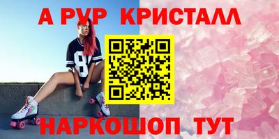 крисы Шебекино