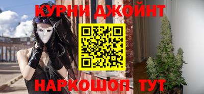 крисы Шебекино
