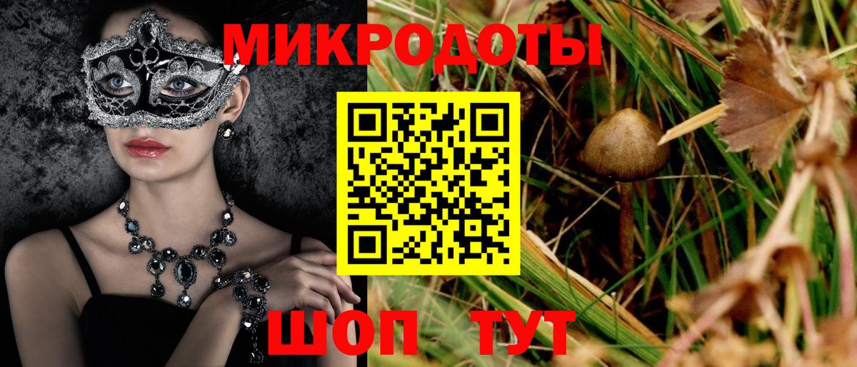 Псилоцибиновые грибы Psilocybine cubensis  Псилоцибиновые грибы Magic Shrooms  купить наркотики цена  Вольск  Вход с VPN 